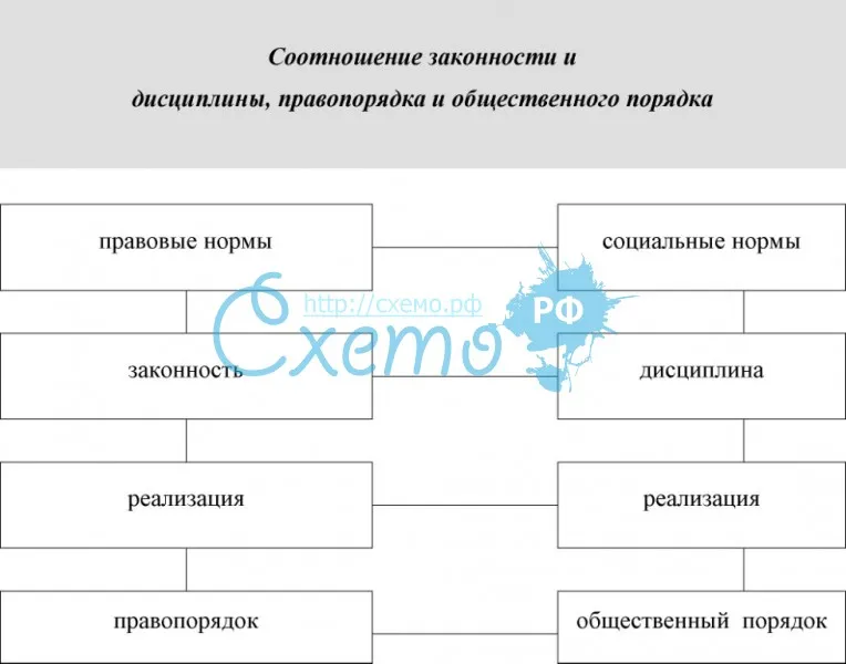 Понятие и виды дисциплины. соотношение дисциплины с правопорядком, общественным порядком, законностью
