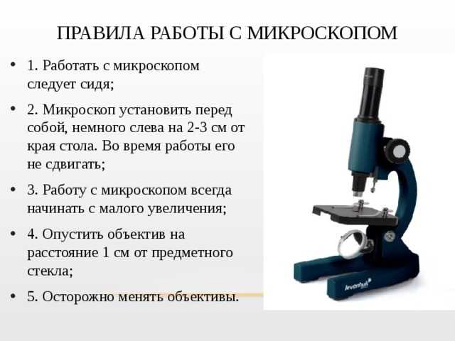 Увеличительные приборы - bio-lessons