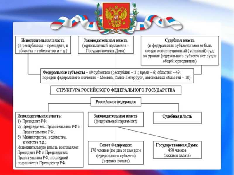 Органы государственной власти в россии