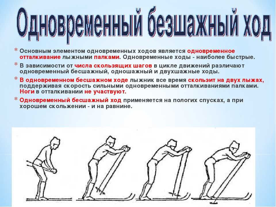 Техника лыжных ходов, коньковый классический ход на лыжах, попеременный двухшажный ход, классификация способов передвижения на лыжах, одновременно бесшажный ход | tvercult.ru