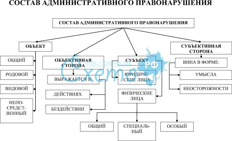 Составьте схему правонарушения признаки правонарушения виды правонарушений