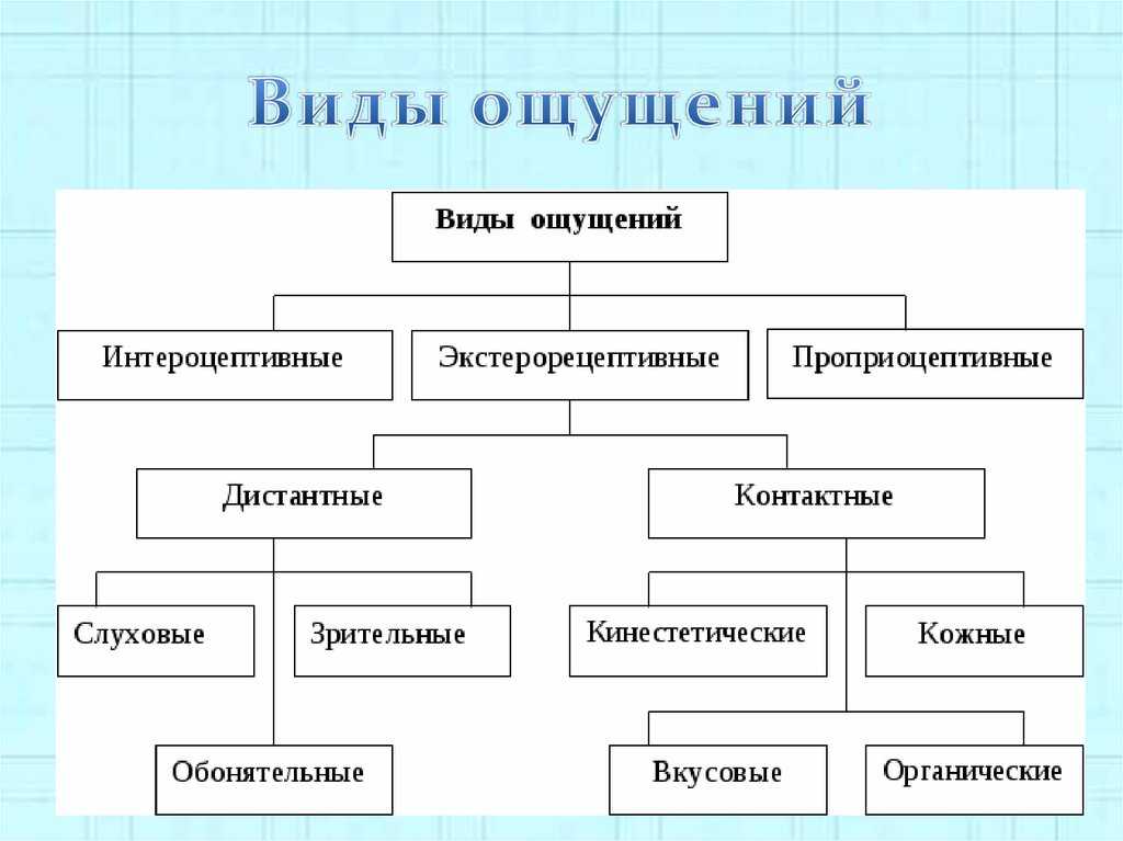 Ощущение как познавательный психический процесс