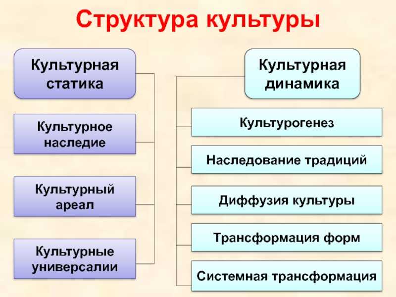 Структура культуры