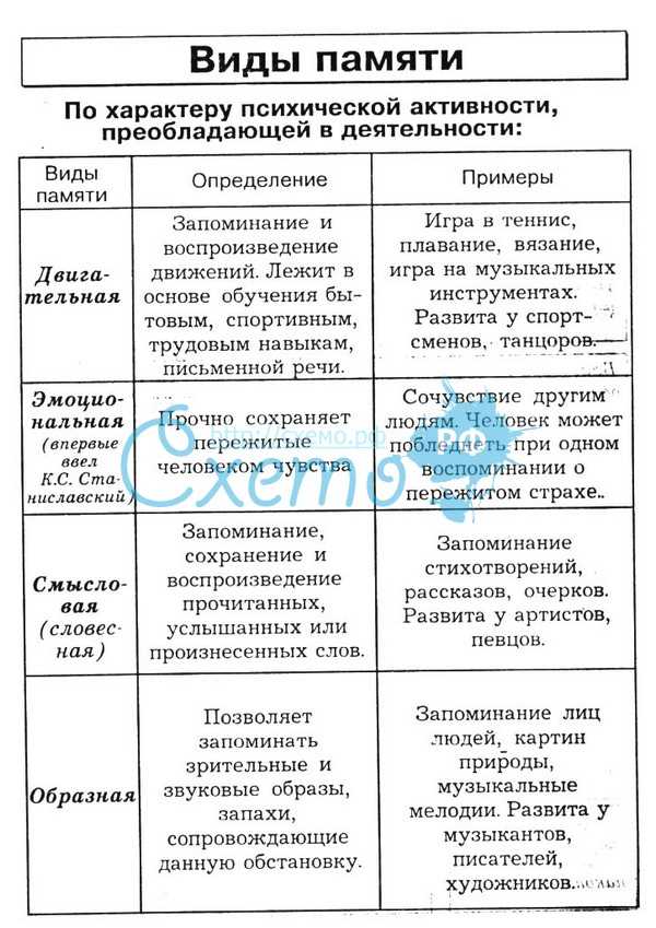 Виды памяти: их характеристика, чем отличаются, классификация