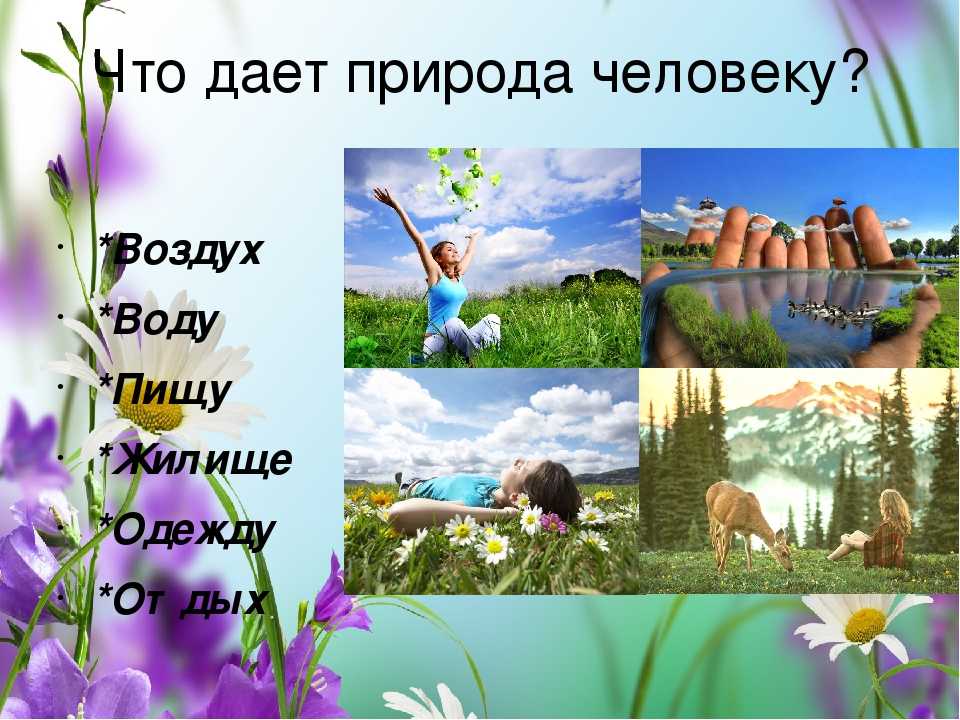 Взаимосвязь общества и природы