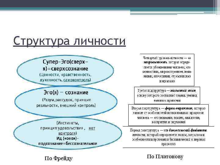 Реферат по психологии на тему «структура личности по к.к. платонову»