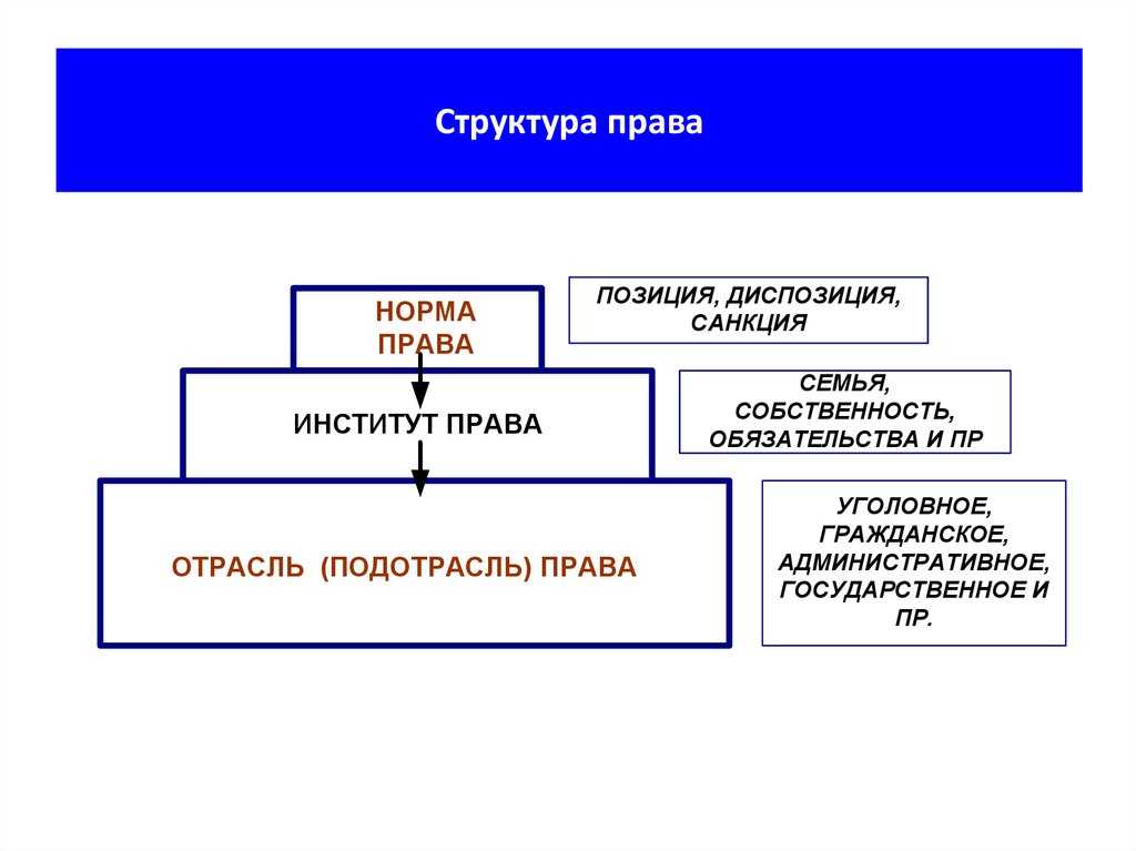Структура системы права