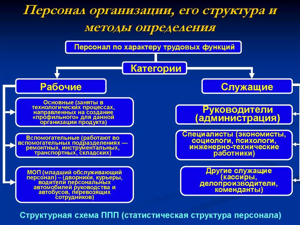 Структура персонала - определение термина