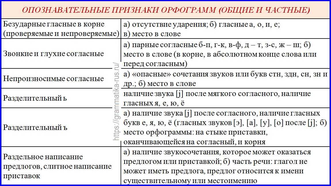 Принципы русской орфографии типы и виды орфограмм