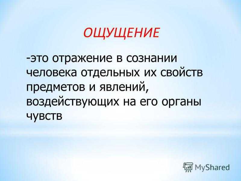 Виды психических процессов: ощущение