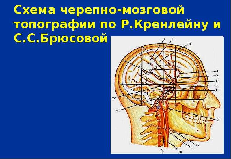 Для чего предназначена схема кренлейна брюсовой