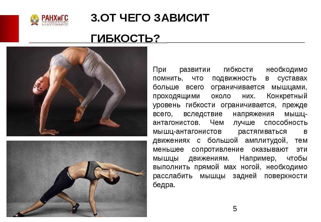 Динамическая и статическая гибкость