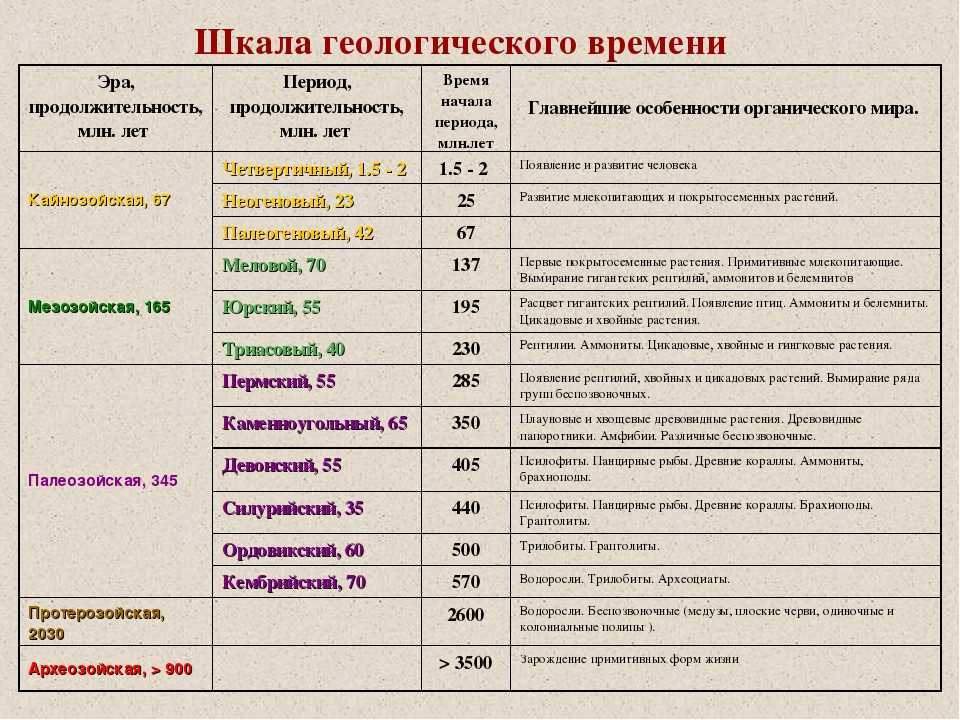 Презентация на тему смена. периоды развития смены в детском лагере