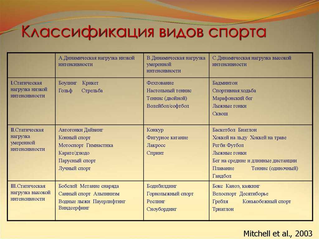 Классификация видов спорта кратко
