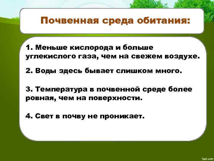 Почва как среда жизни эдафобионтов (педобионтов)