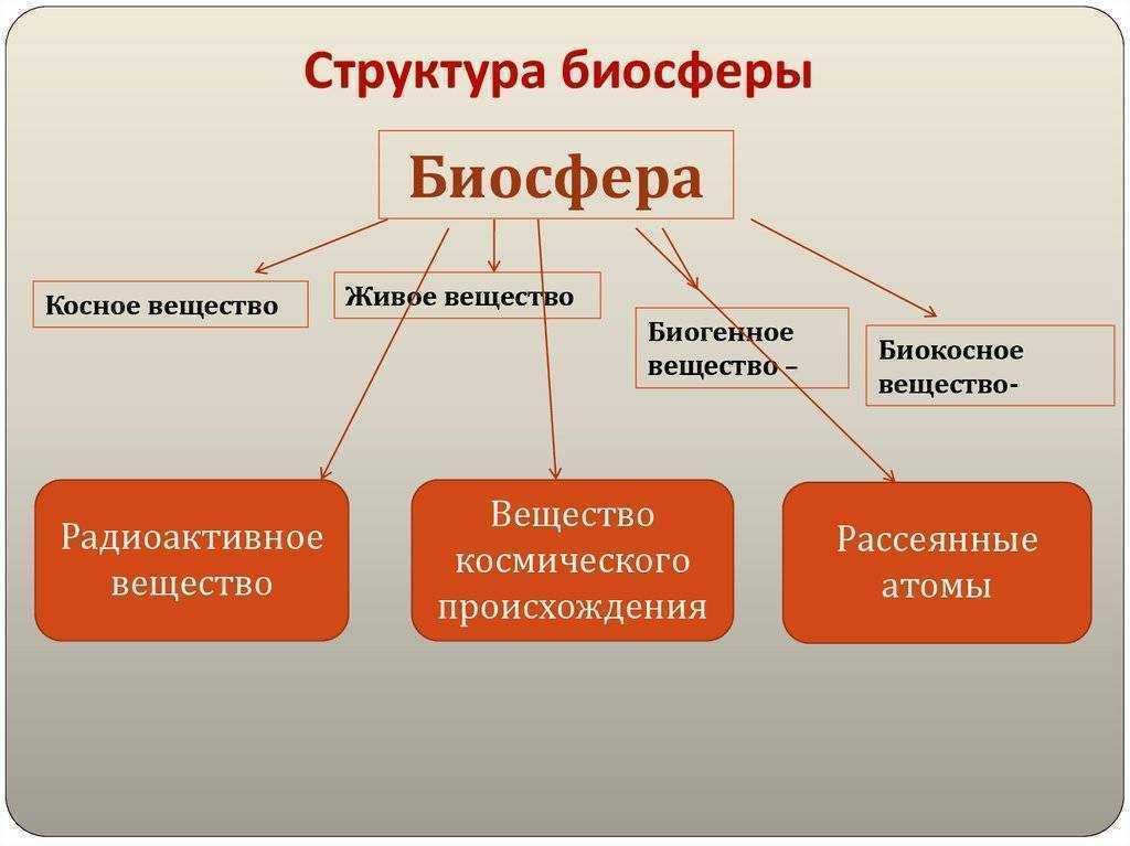 Свойства биосферы