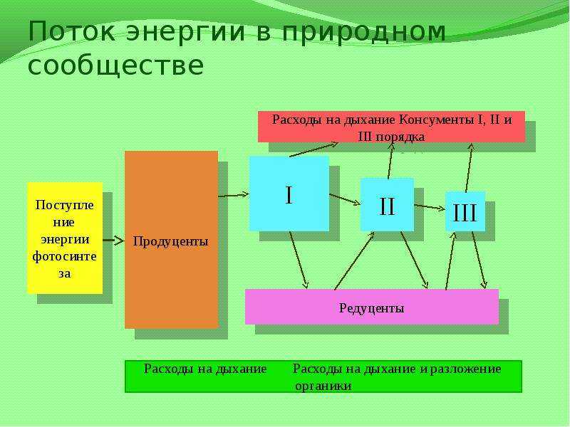 Биосфера. круговорот веществ в биосфере. глобальные изменения в биосфере.
