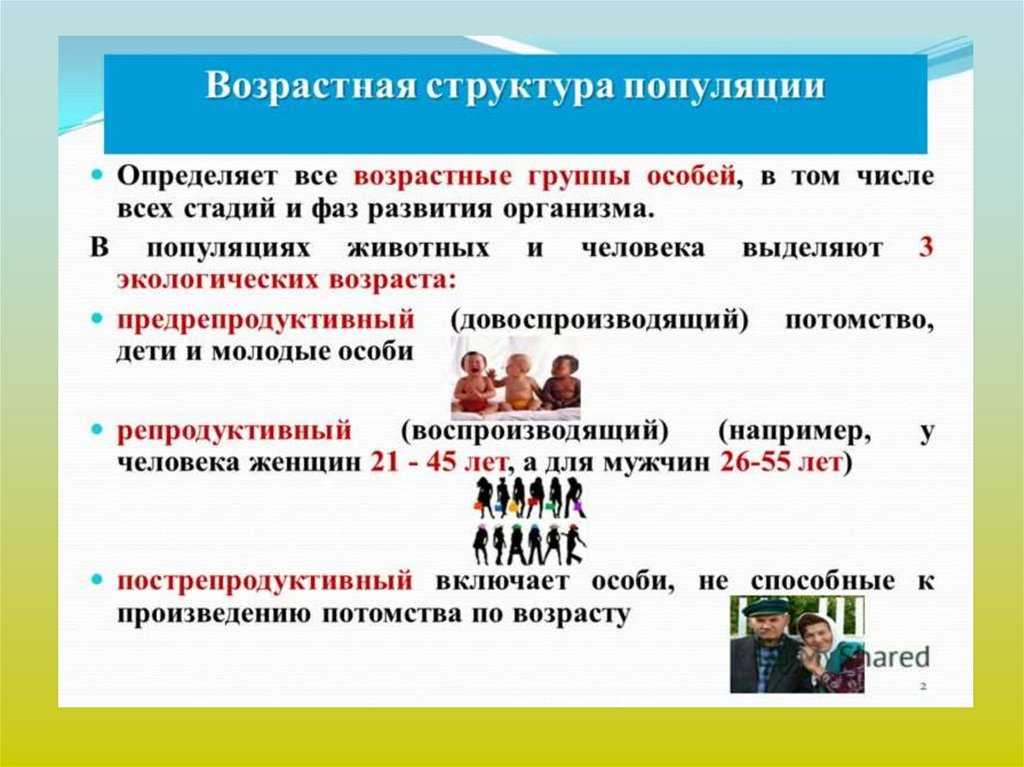 Возрастная структура популяции