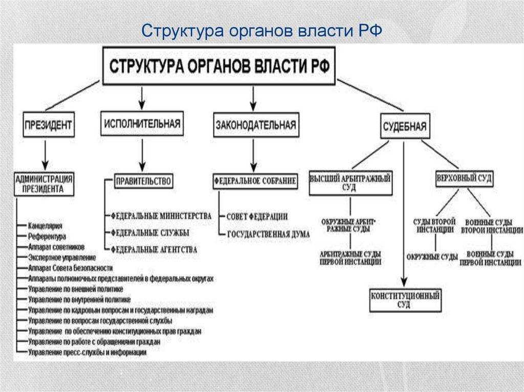 Система органов государственной власти рф и их виды