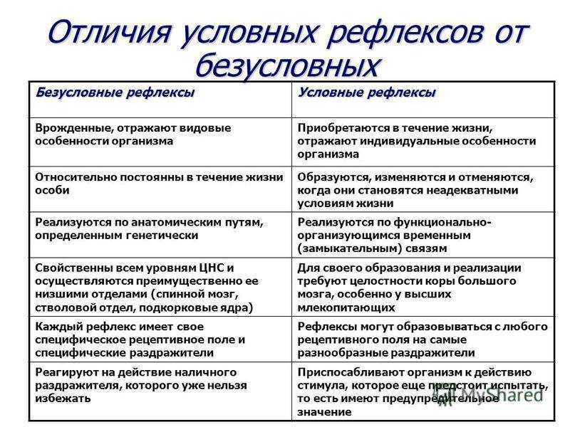 Безусловные и условные рефлексы. классификация и сравнение