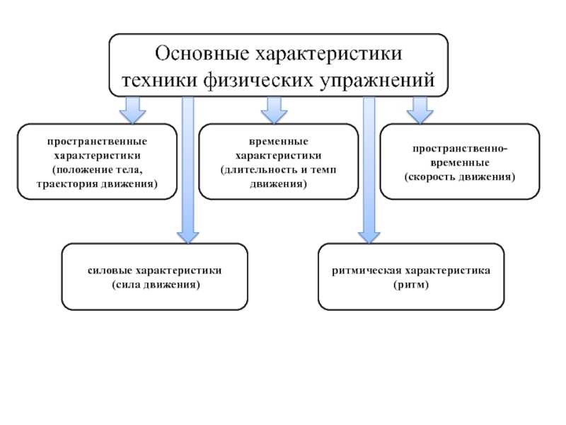 6 техника физических упражнений понятие основа ведущее звено детали техники характеристики техники