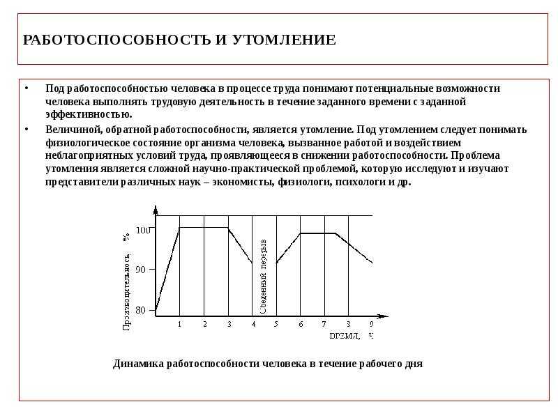 Фазы работоспособности человека в течение рабочего дня