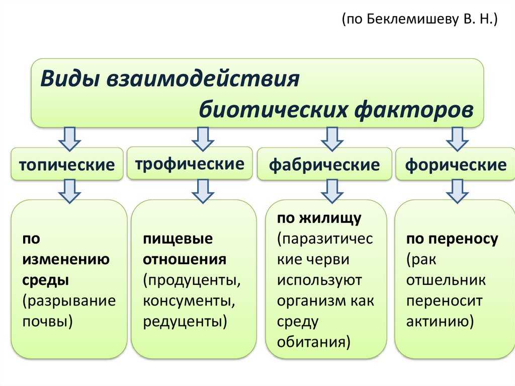 Что обеспечивает стабильность экосистемы?