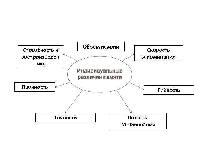 Индивидуальные особенности и нарушения памяти