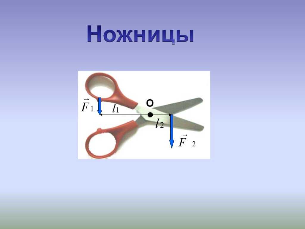 Рычаги в природе, технике и быту - chvuz.ru
