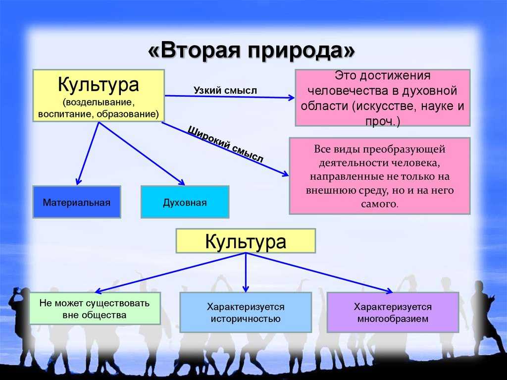 5. культура — общество — природа
