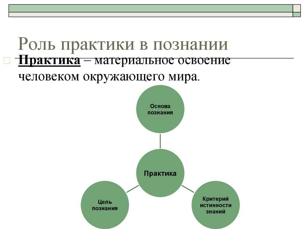 Еще больше о научной практике: виды, функции, роль в научном познании