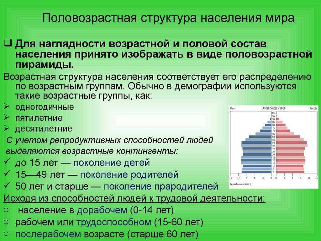 Структура ⭐ населения: что под этим понимается, краткое определение, характеристика, показатели