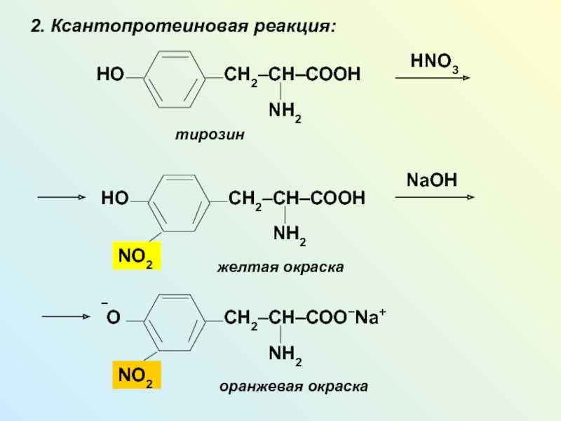 Ксантопротеиновая реакция: обоснование, методика, применение