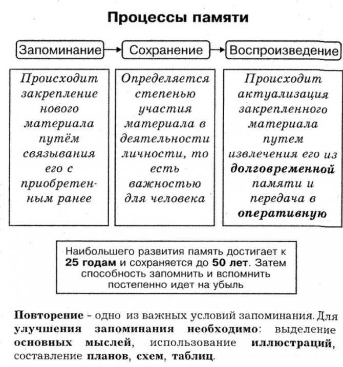 Процессом памяти не является концентрация. память: понятие, основные процессы памяти, виды и структура