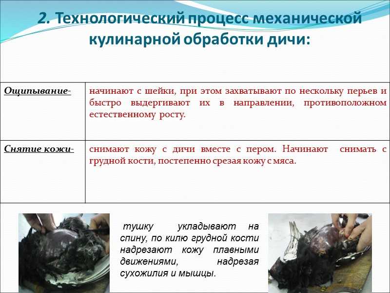 Технология. 7 класс. механическая и тепловая обработка мяса