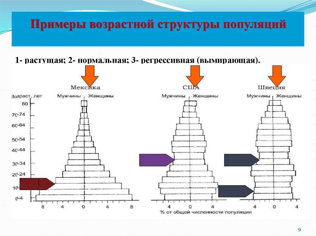 Биология. 10 класс