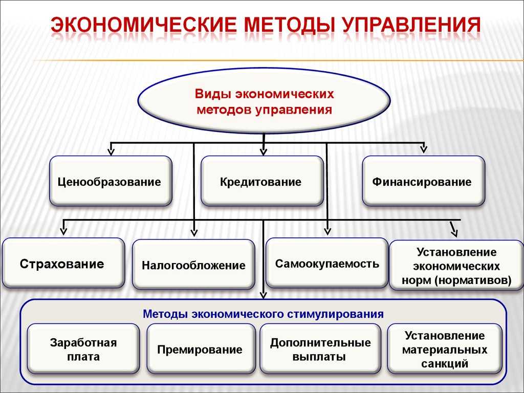 Экономические методы управления на предприятии. курсовая работа (п). менеджмент. 2008-05-12