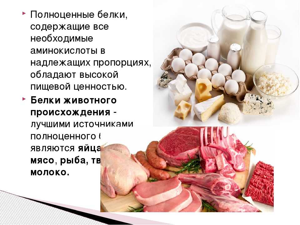 Незаменимый белок или сушка: вход воспрещен. список продуктов, богатых белком.