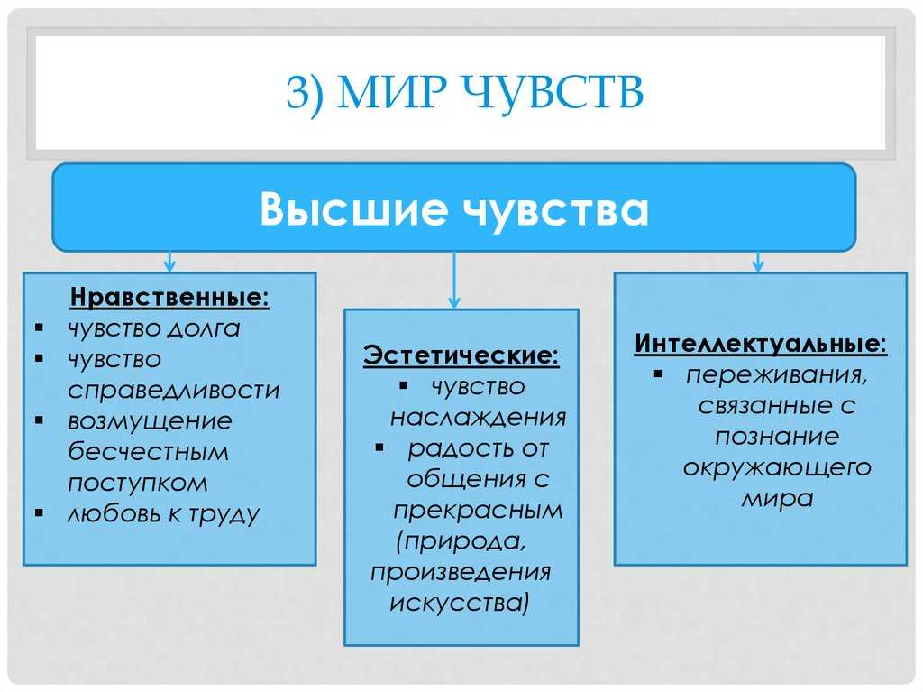 Виды психических процессов: чувства