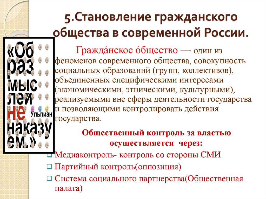 Институты гражданского общества в современной россии проект