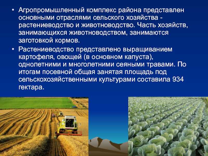 География