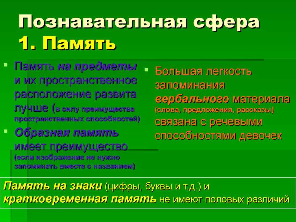 Познавательные процессы: классификация, структура и функции, какие бывают виды познавательных психических процессов.