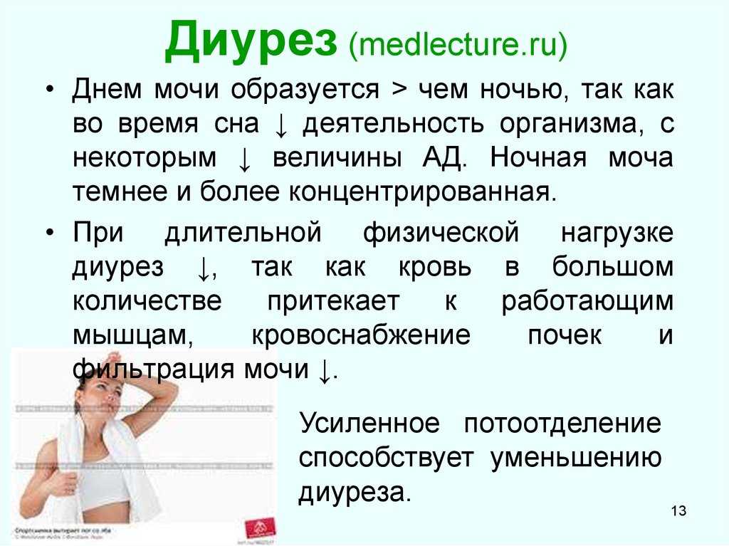 Алгоритм определение водного баланса