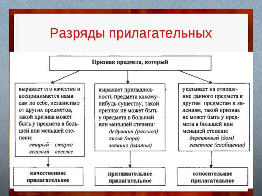 Что такое имя прилагательное?