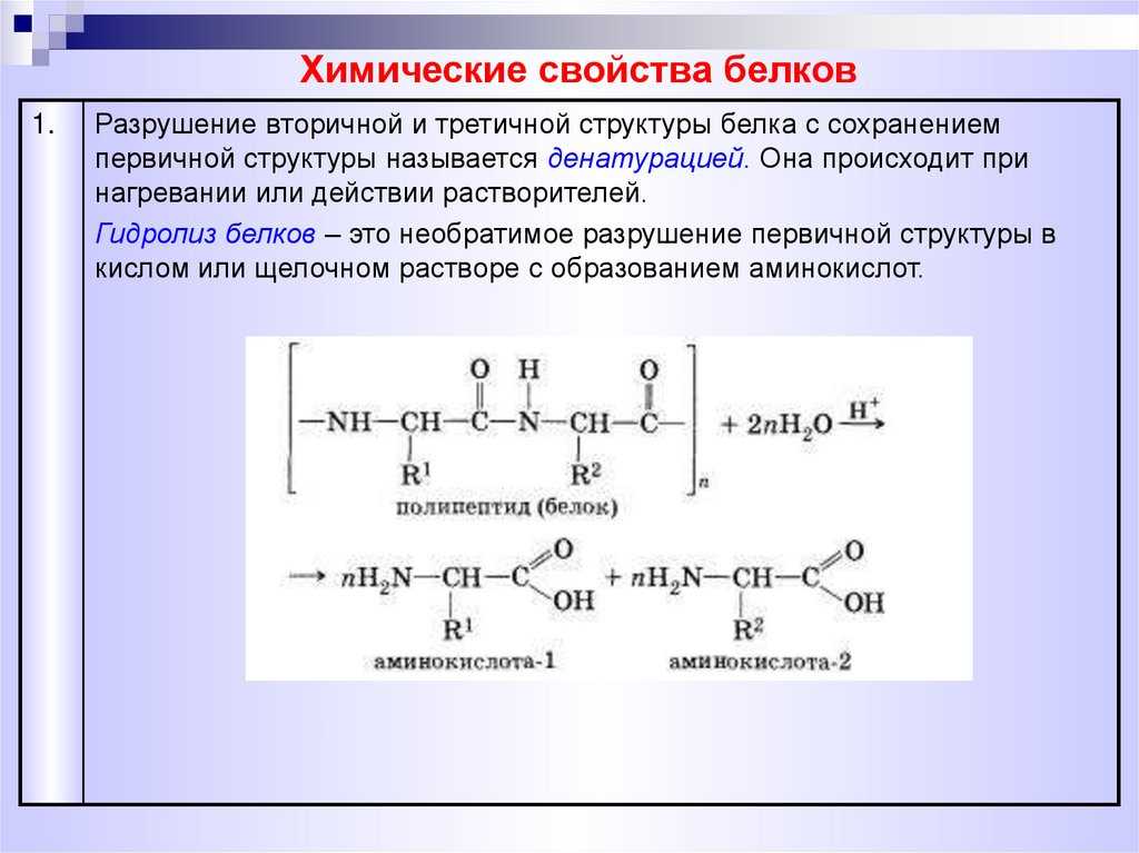 Химические свойства белков | химия онлайн