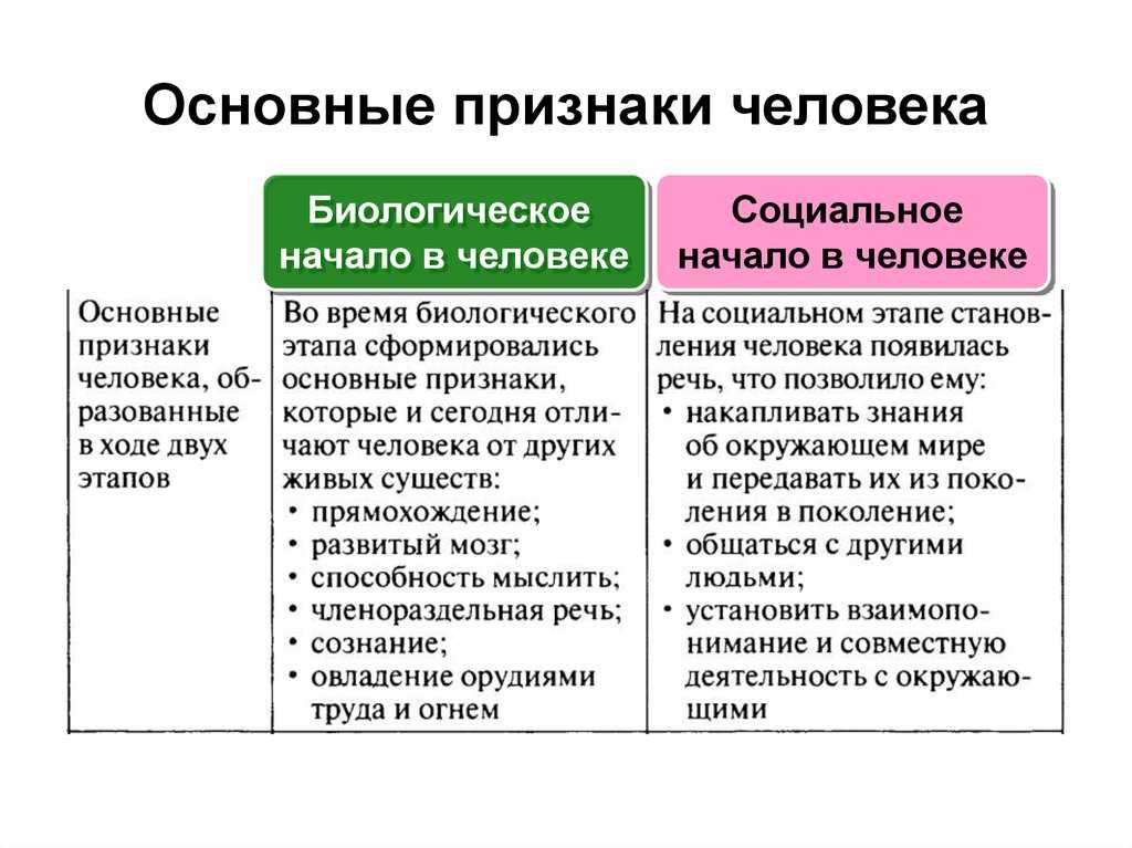 Подход к изучению человека как бисоциального существа. реферат. философия. 2017-04-11