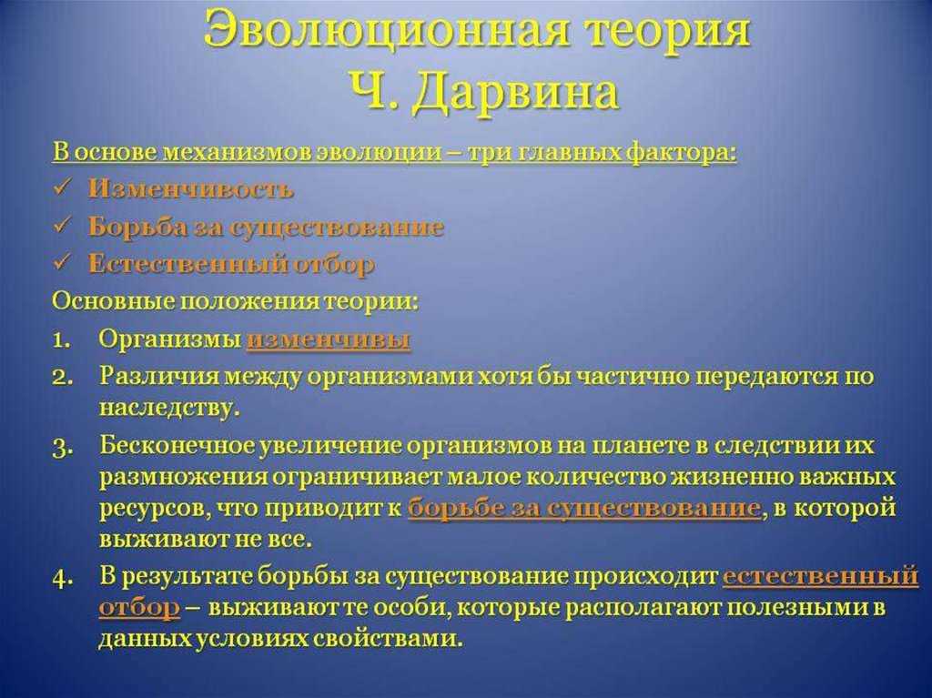 Естественный отбор: определение, теория дарвина, примеры и факты