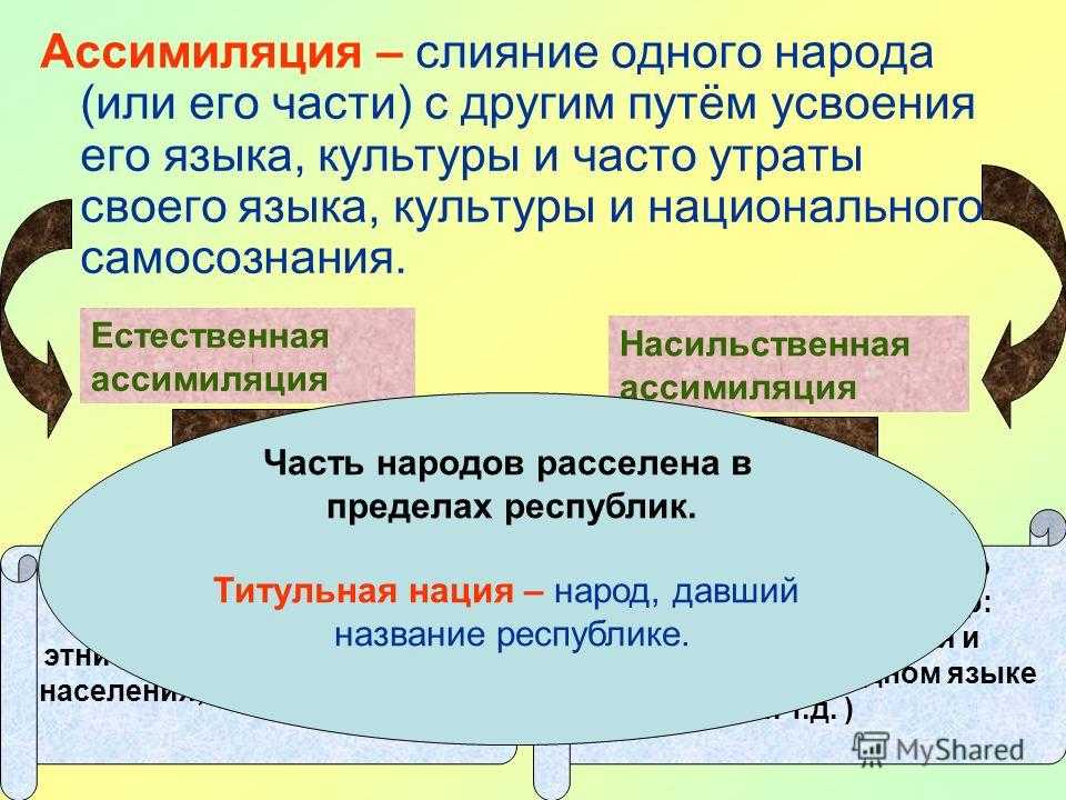 Ассимиляция