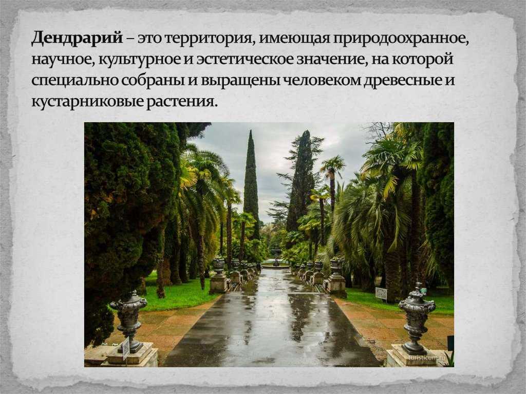 Что такое дендрологический парк?