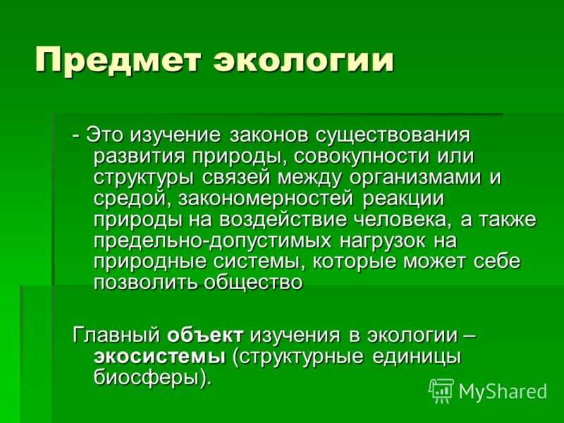Предмет и задачи экологии